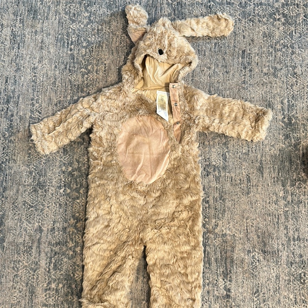 Pottery barn 18-24 month dog costume